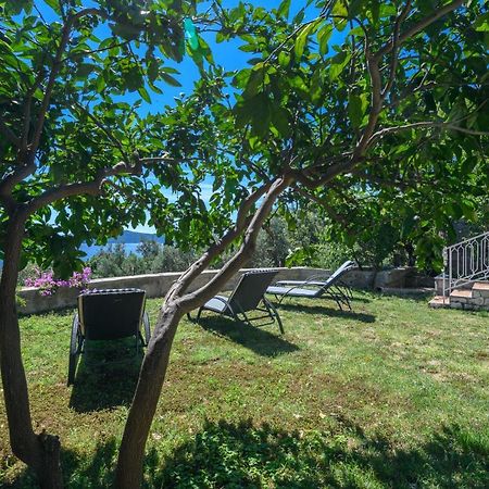 Apartment Mario - Veliki Stan Za Odmor - Terasa- Vrt - Bazen - Pogled More, Izoliran Орасац Екстер'єр фото